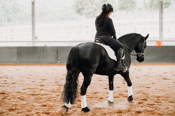 EQUICORE rider riding a black horse in an arena